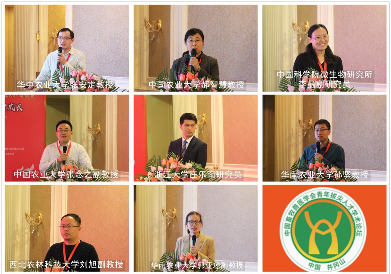 �±�GG��������ҵƽ̨