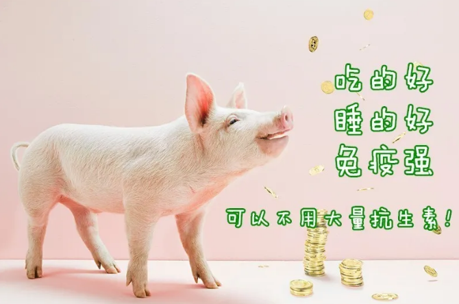 �±�GG��������ҵƽ̨