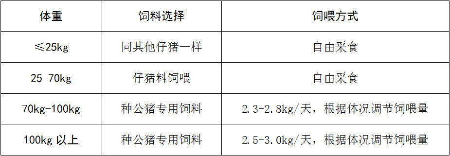 �±�GG��������ҵƽ̨