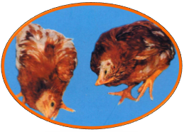 �±�GG��������ҵƽ̨