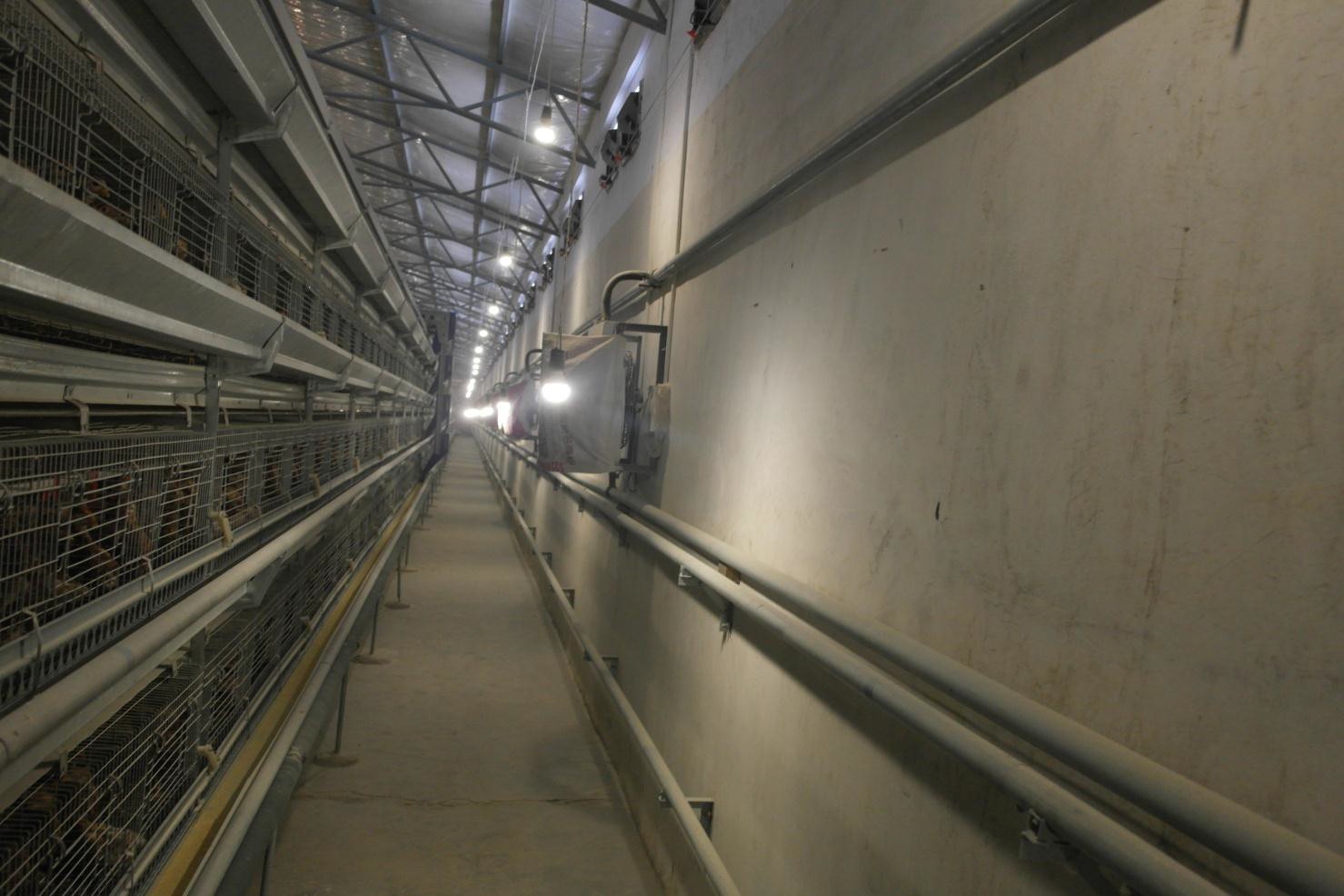 �±�GG��������ҵƽ̨