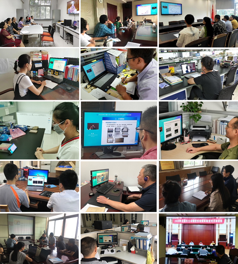 �±�GG��������ҵƽ̨