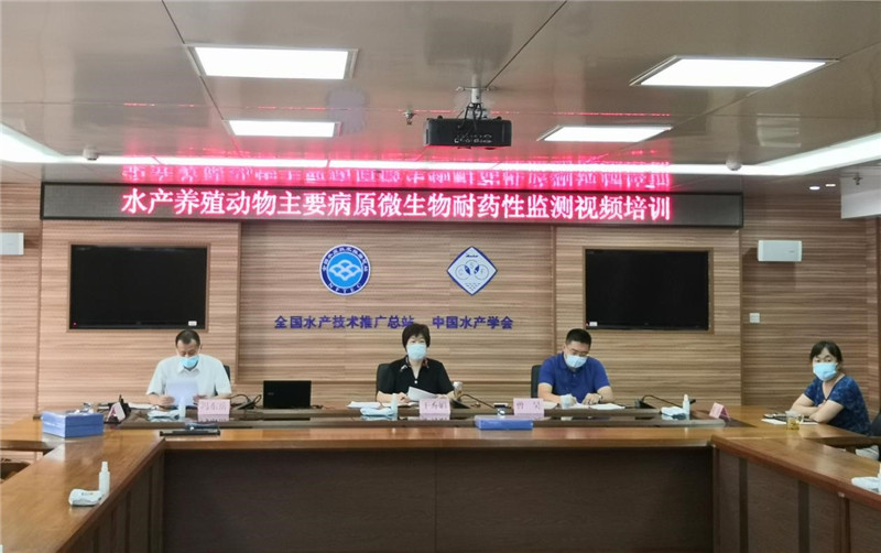 �±�GG��������ҵƽ̨