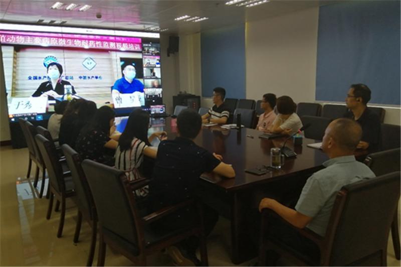 �±�GG��������ҵƽ̨