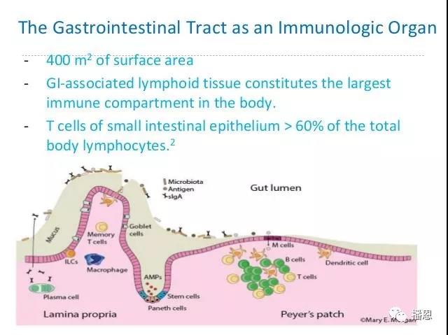 �±�GG��������ҵƽ̨