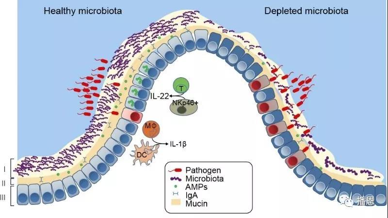 �±�GG��������ҵƽ̨