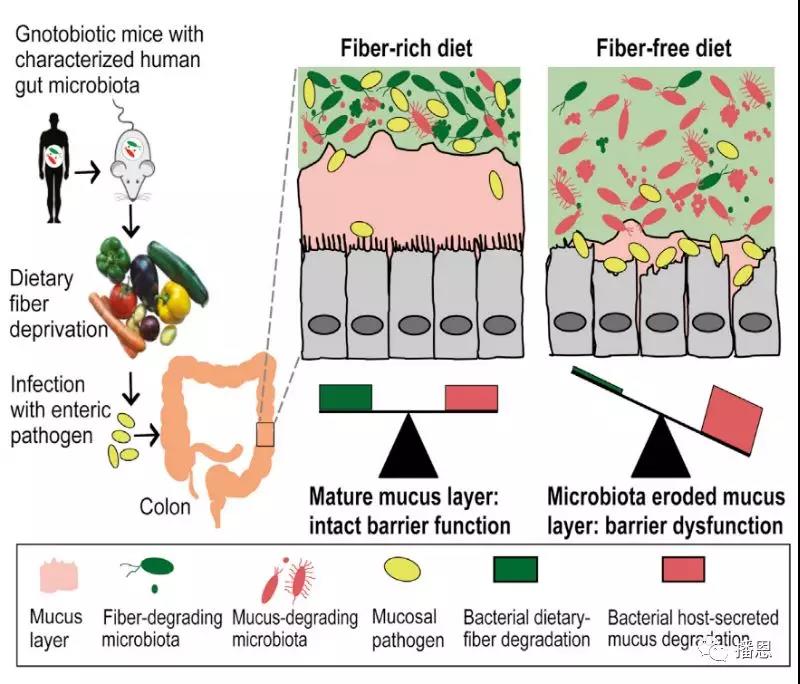 �±�GG��������ҵƽ̨