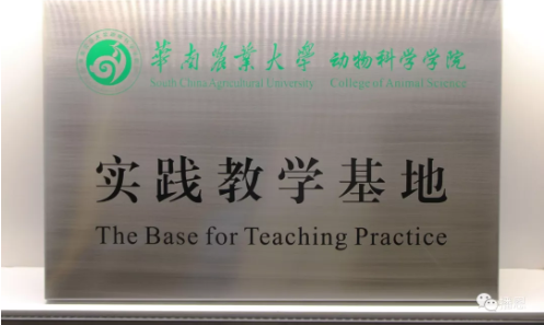 �±�GG��������ҵƽ̨