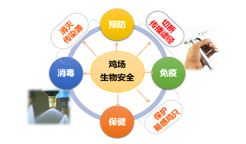 �±�GG��������ҵƽ̨