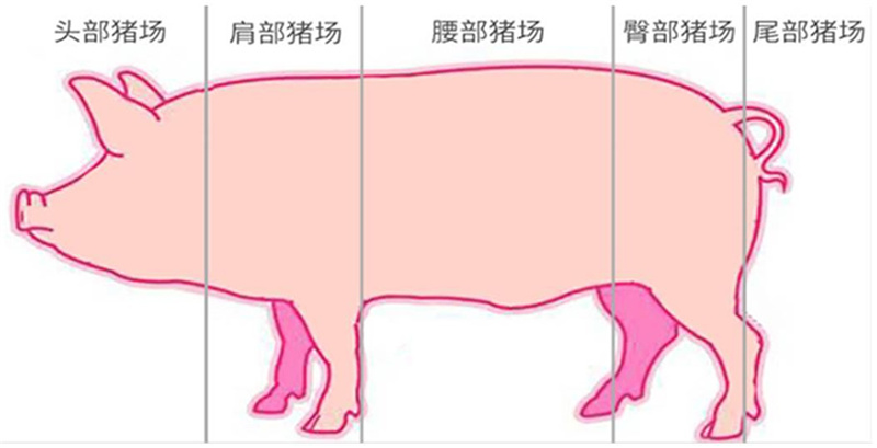 �±�GG��������ҵƽ̨