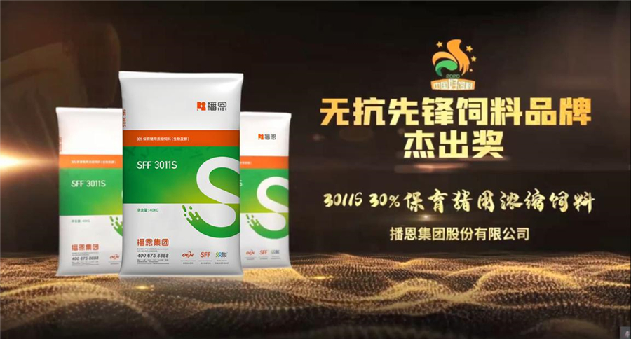 б¦GG¡ª´´Á¢ÊÂҵƽ̨