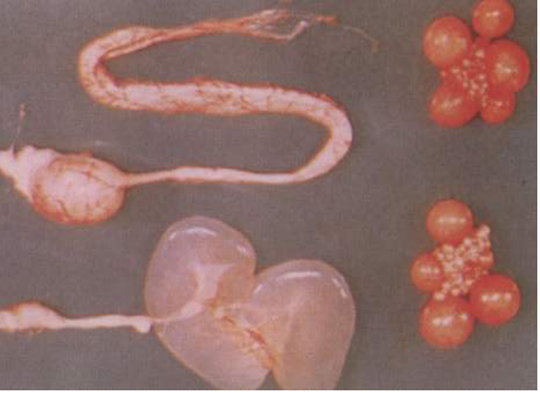 �±�GG��������ҵƽ̨