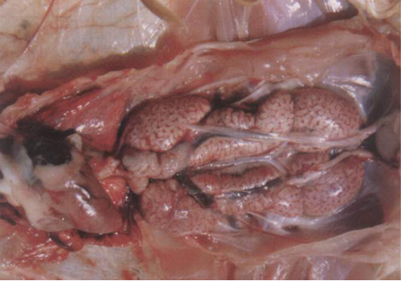 �±�GG��������ҵƽ̨