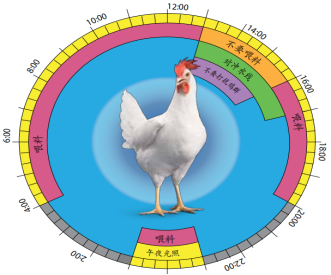 �±�GG��������ҵƽ̨