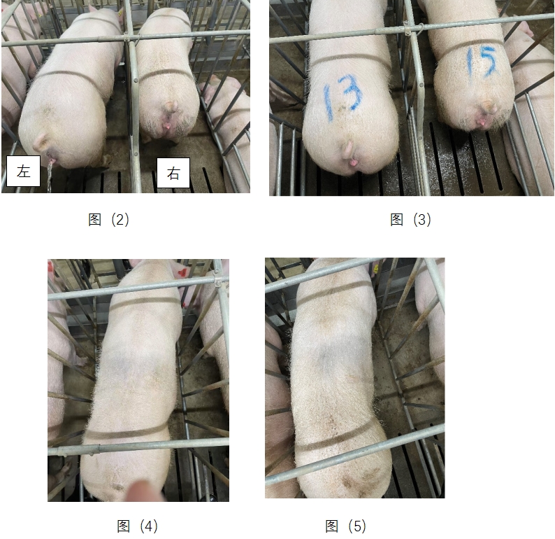 �±�GG��������ҵƽ̨